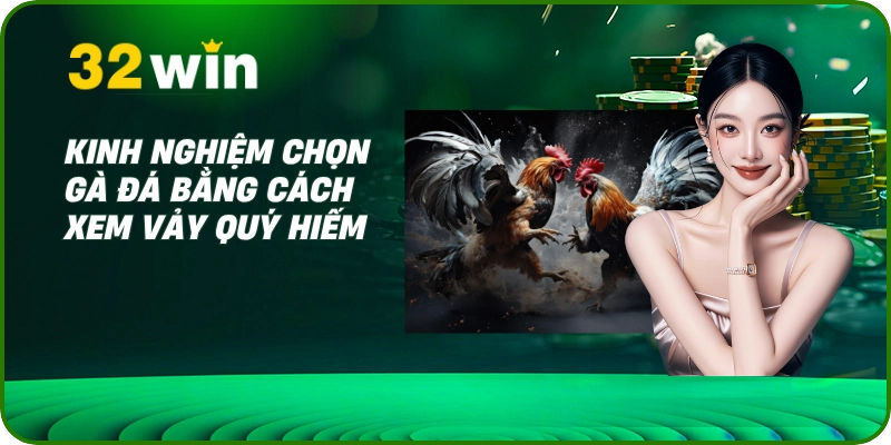 Cách chọn gà đá - Bí Kíp Xem Tướng & Vảy Từ Chuyên Gia 2 Kinh nghiệm chọn gà đá bằng cách xem vảy quý hiếm