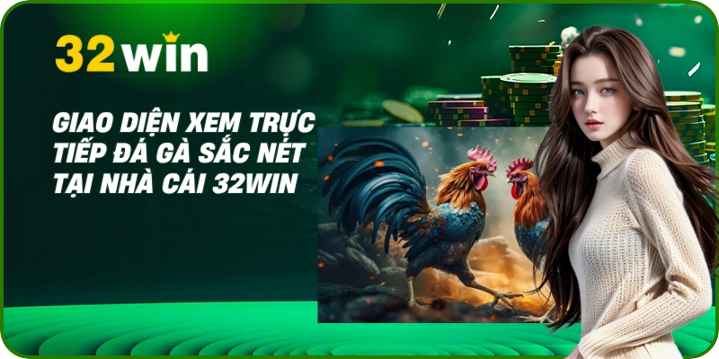 Đá Gà Thái Lan - Xem Trực Tiếp & Kỹ Thuật Nuôi Gà Chọi 2025 2 Giao diện xem trực tiếp đá gà sắc nét tại nhà cái 32Win