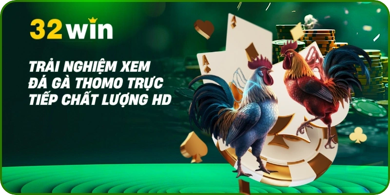 Trải nghiệm xem đá gà Thomo trực tiếp chất lượng HD